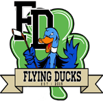 Flying Ducks Irish ice hockey club