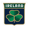 Irish ice hockey association
